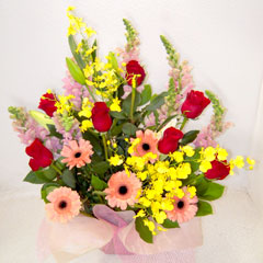 �A�����W