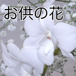 �����E�������̉�