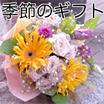 �G�߂̃M�t�g