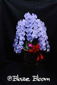 blaze�@���x���_�[