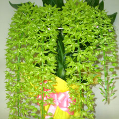 �O���}�g�t�B����