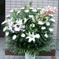 ���ԁ@���V�@�@���@�X�^���h