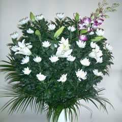 ���ԁ@���V�@�@���@�X�^���h