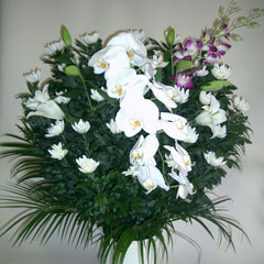 ���ԁ@���V�@�@���@�X�^���h